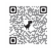 SHINE QR