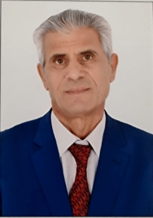 Elsayed Azzouz先生，国际电联无线电规则委员会委员